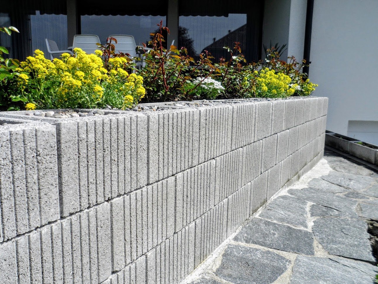 Mauer aus Pflanzsteinen mit gelber Bepflanzung
